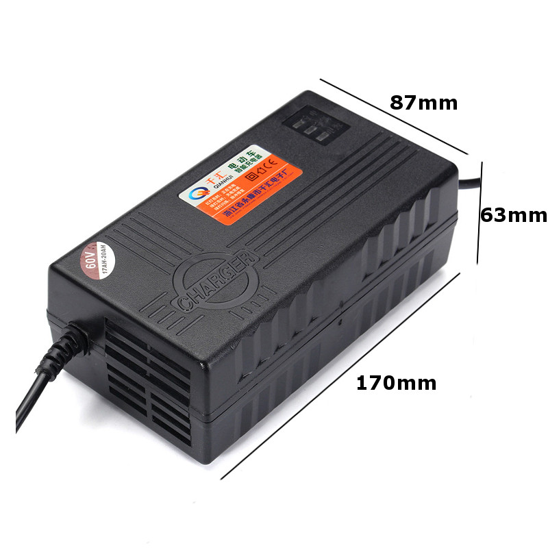 60V 20AH Charger