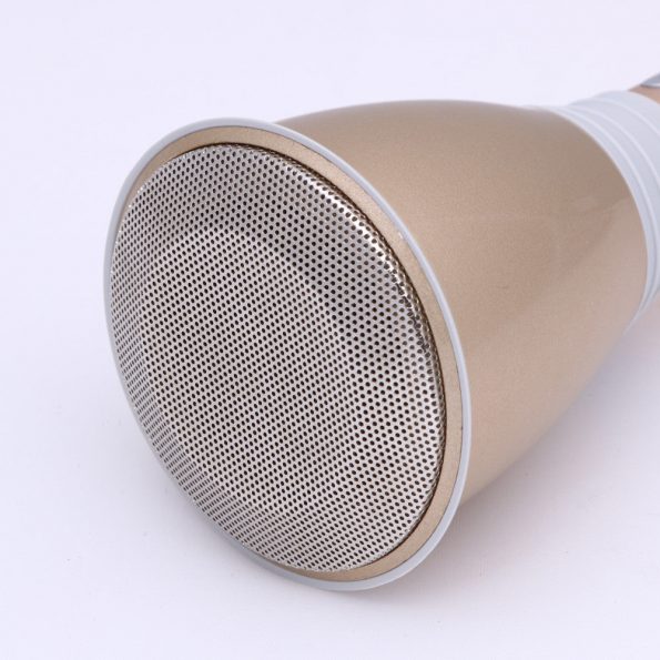 Karaoke Microfoon Speaker Draadloos - dennisdeal.com