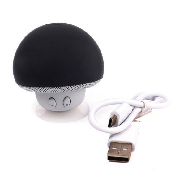 Draadloze Mini Bluetooth Speaker Waterbestendig / Diverse kleuren - dennisdeal.com