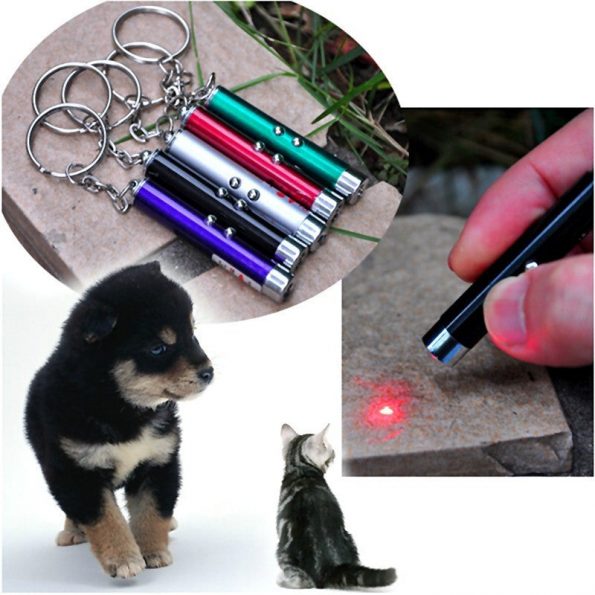 Laserlampje (katten speelgoed) - dennisdeal.com