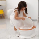toilet-1